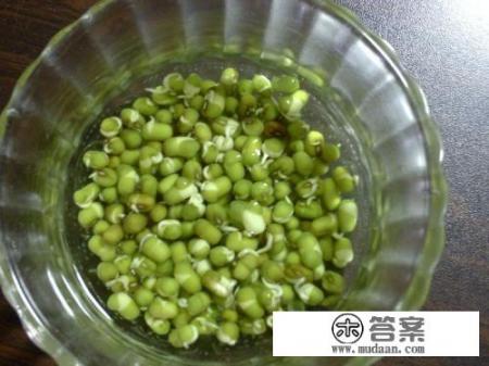 水培豆芽(绿豆)全过程。有图片更好？