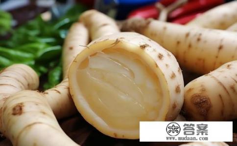 小白嘴山药如何区别?小白嘴山药特点和识别方法是什么?