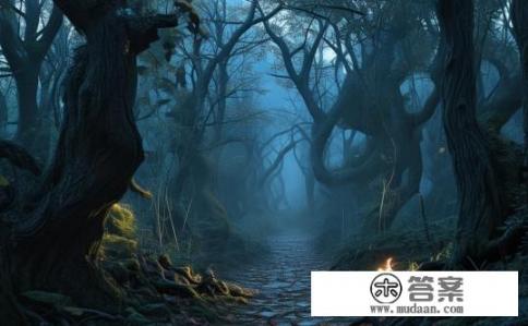 黄昏之传道师的神秘位置探索，幽深之地，黄昏之传道师的秘密坐标探索与揭示