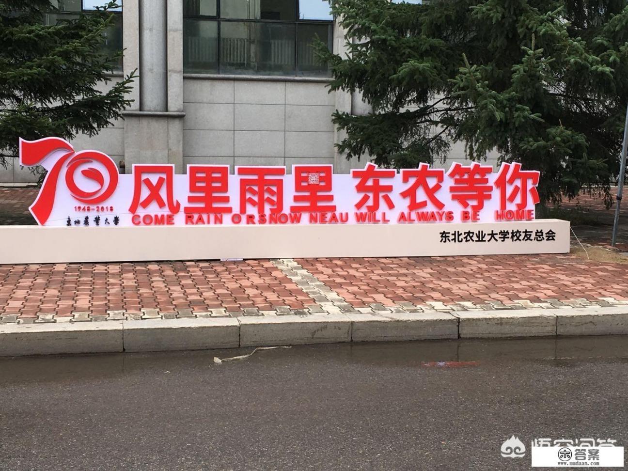 东北林业大学为什么排名这么高? 东北林业大学为什么排名这么高?