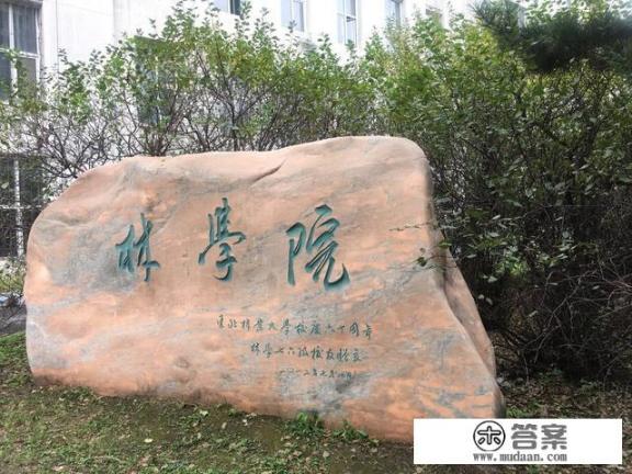 东北林业大学为什么排名这么高? 东北林业大学为什么排名这么高?