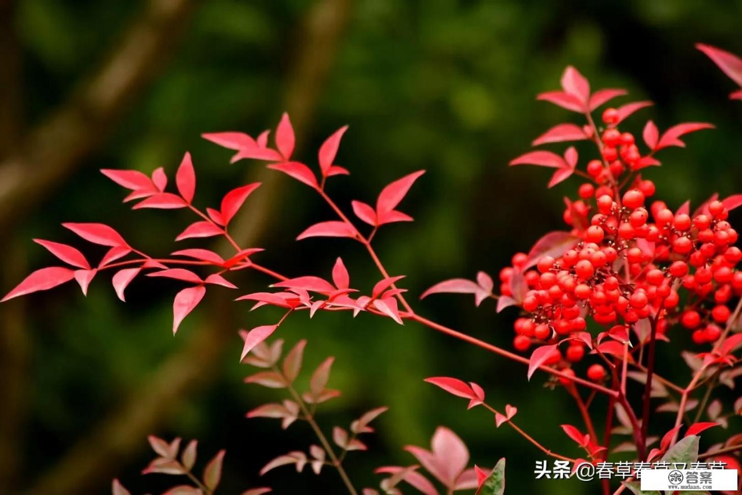 男生喜欢一个女生心里会想什么？