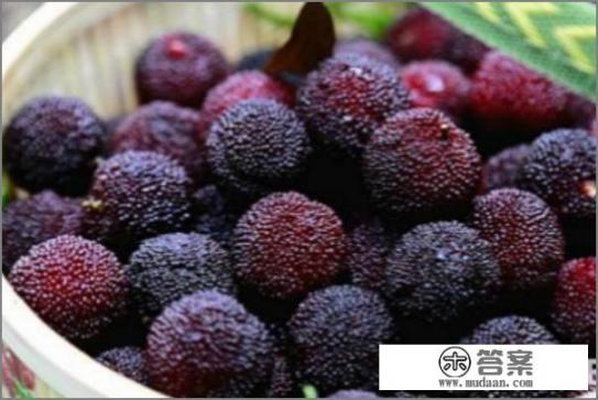 宁波十大小吃,不可错过的特色美食? 宁波十大小吃,不可错过的特色美食?