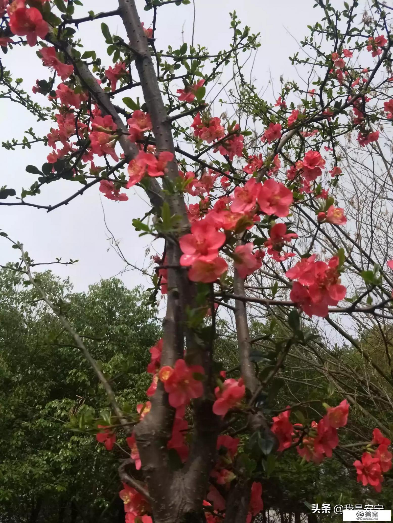 作为中学生我们该怎样实行来珍爱自己的生命关爱他人的生命呢？