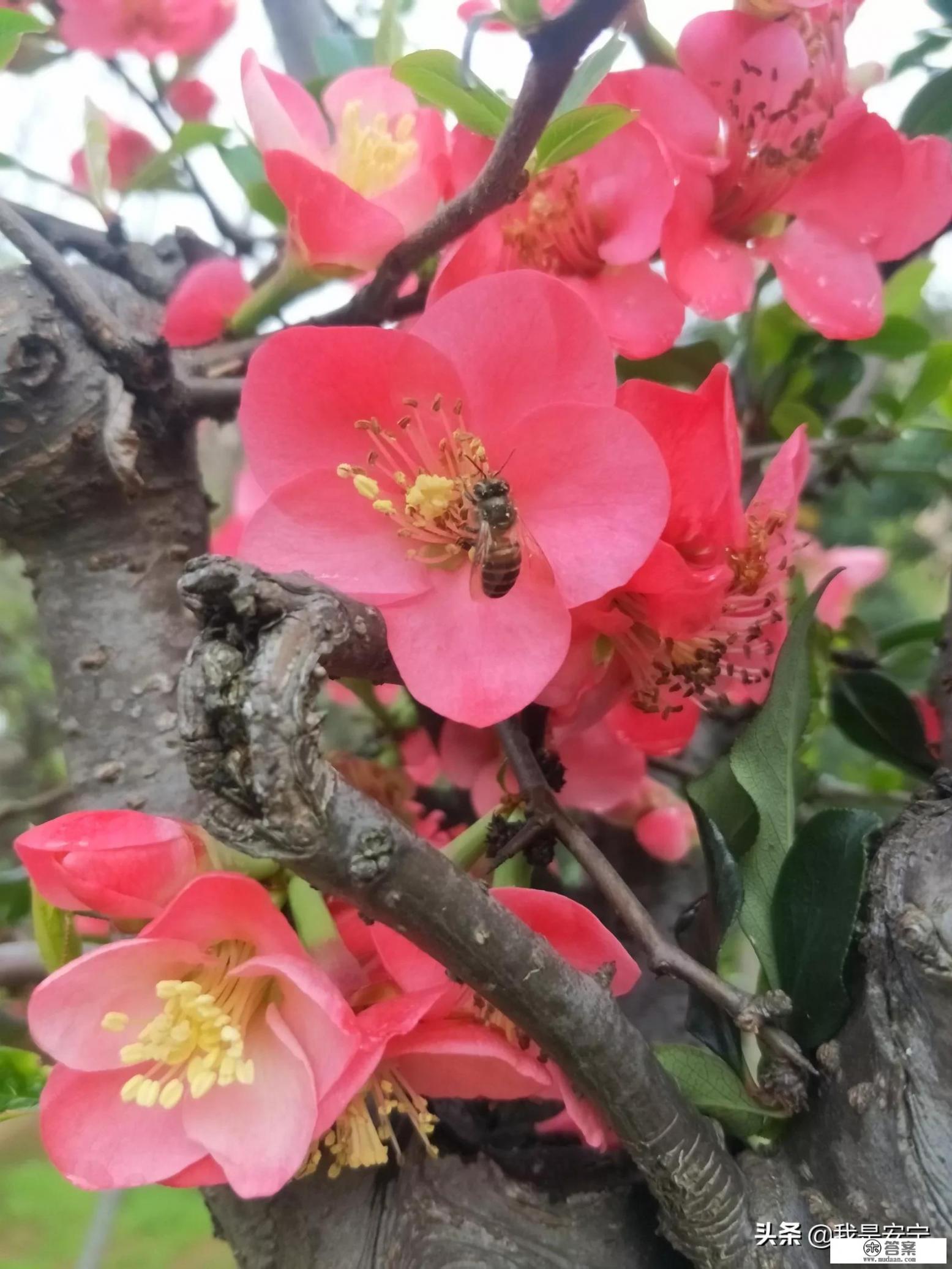 作为中学生我们该怎样实行来珍爱自己的生命关爱他人的生命呢？