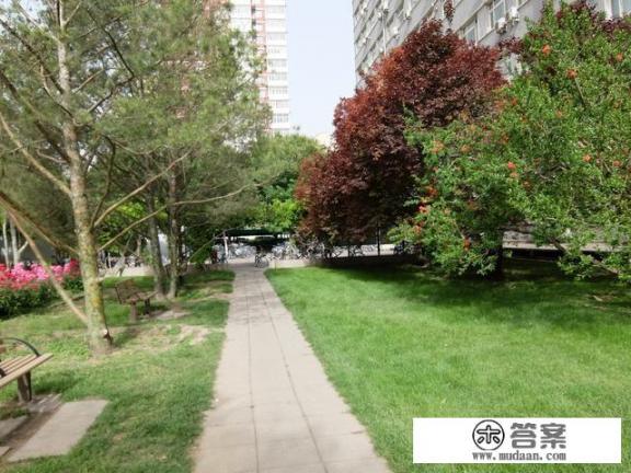 university是什么意思？