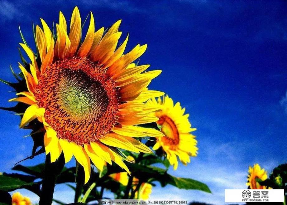 有什么可以表达自己现在很丧，但又想努力积极面对生活的句子？