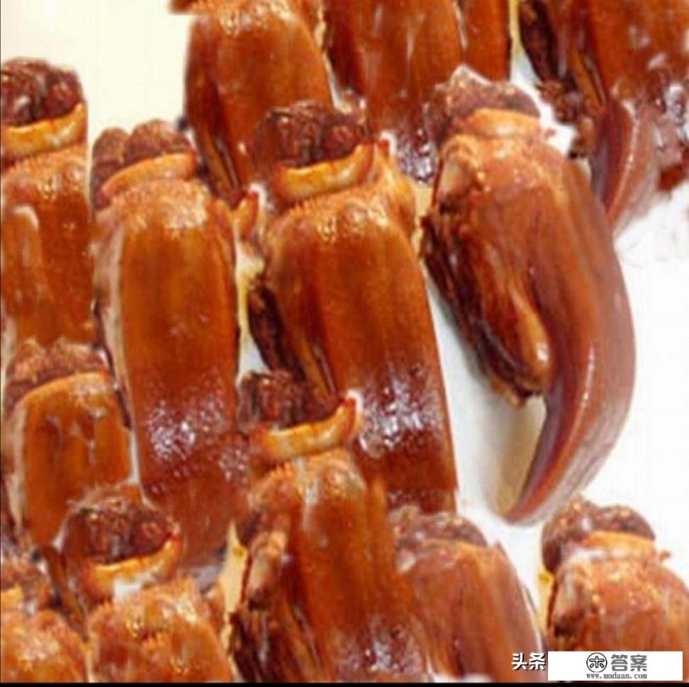 哪里可以学正宗卤菜技术？