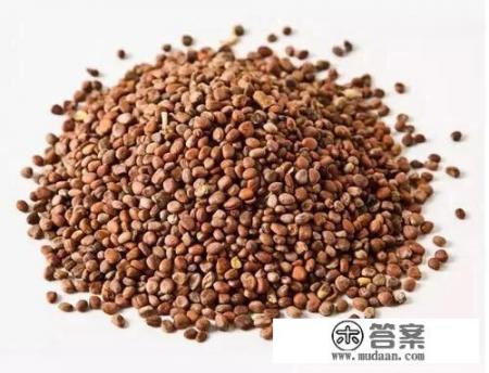 菠菜种植的时间和方法? 菠菜种植的时间和方法?