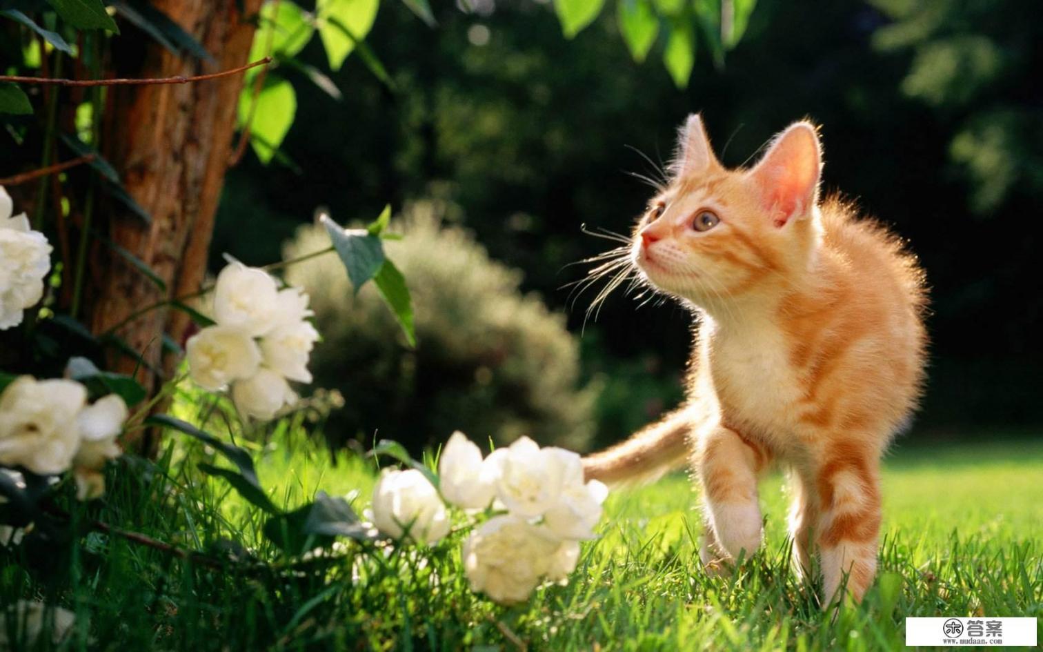 高速虫子尸体怎么洗? 高速虫子尸体怎么洗?