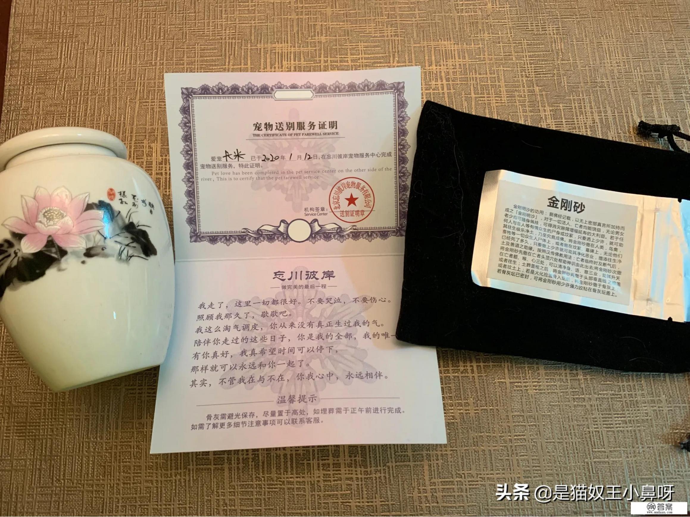 高速虫子尸体怎么洗? 高速虫子尸体怎么洗?