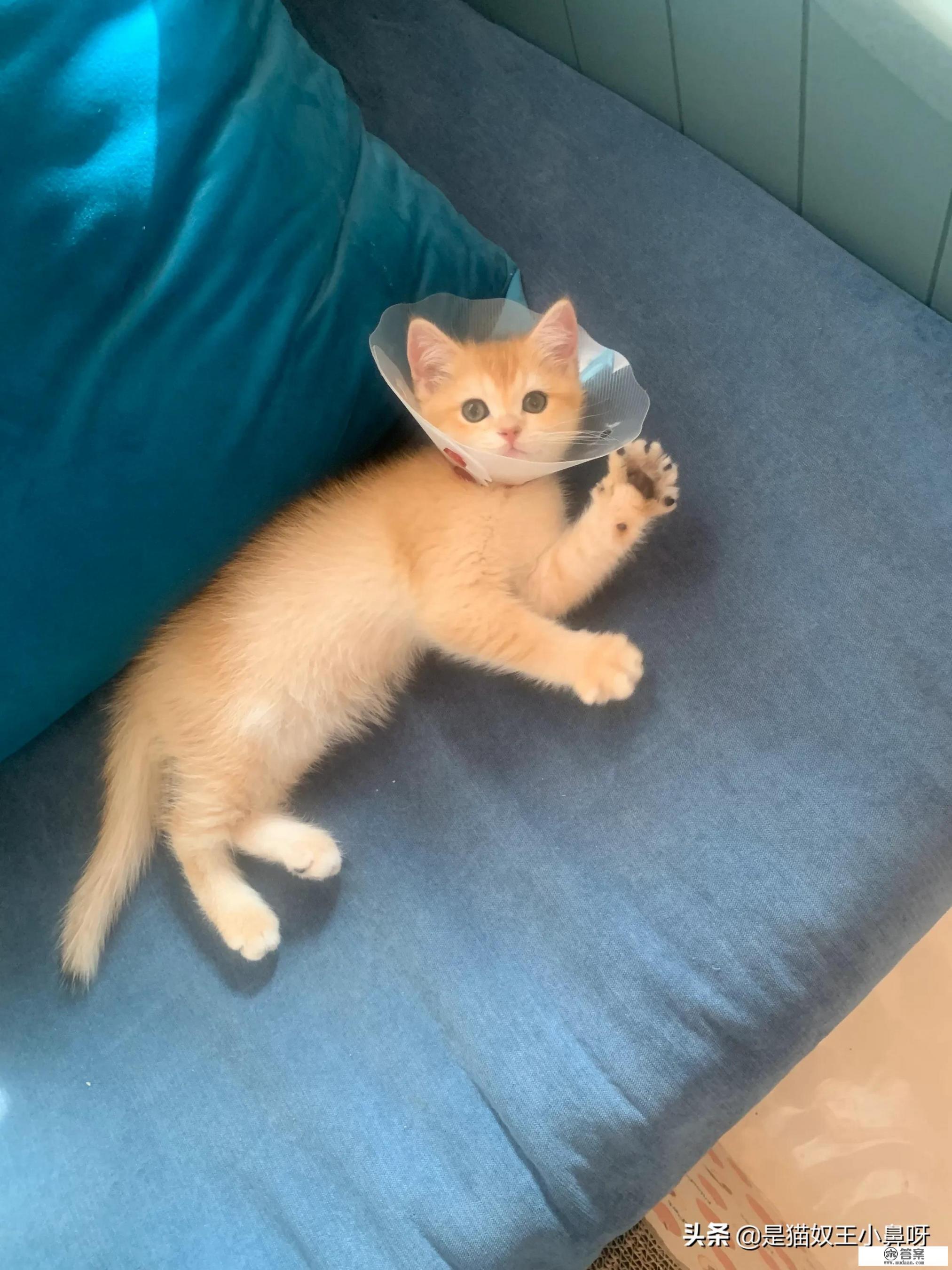 高速虫子尸体怎么洗? 高速虫子尸体怎么洗?