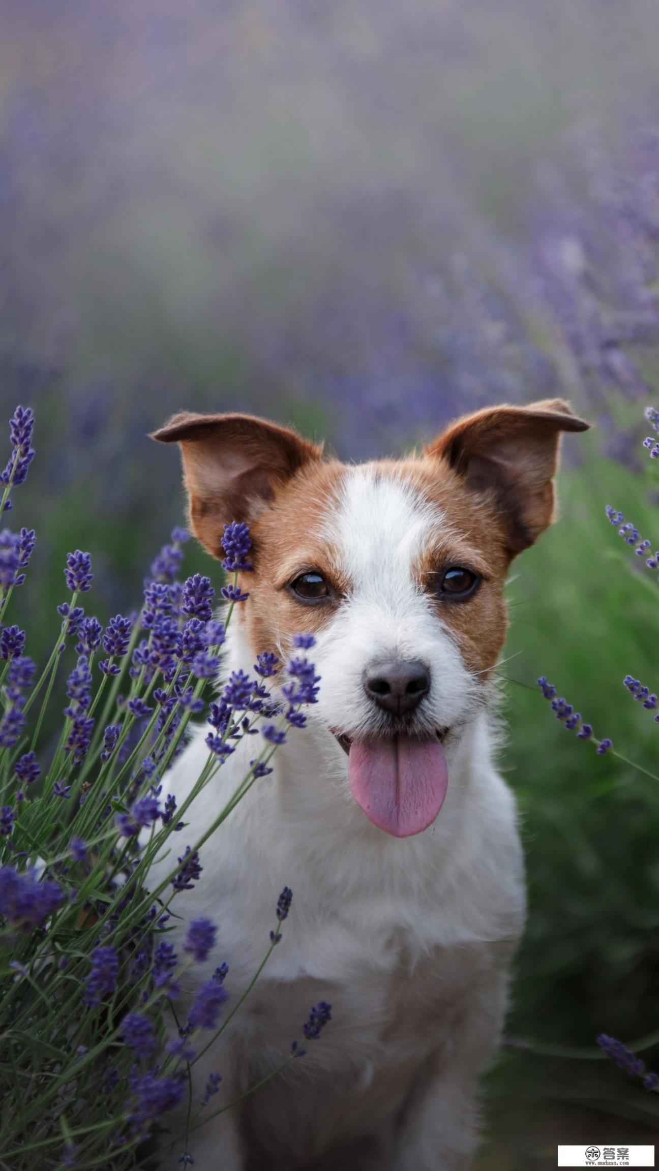 血压低吃什么食物好得最快？