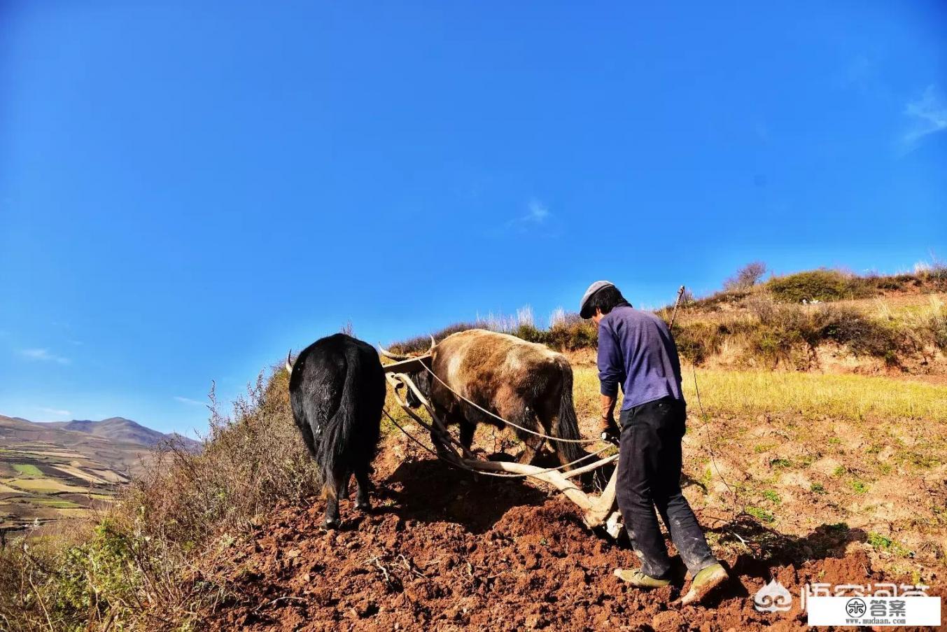 甘肃的农产品你们知道的有多少？有哪些值得推荐？