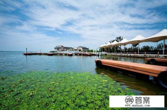 2021年12月螃蟹行情如何？