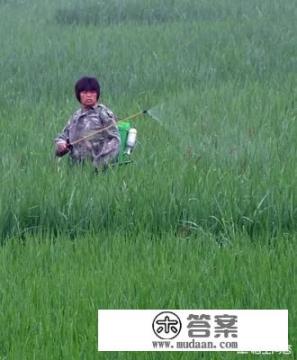 鱼药归哪个部门管? 鱼药归哪个部门管?