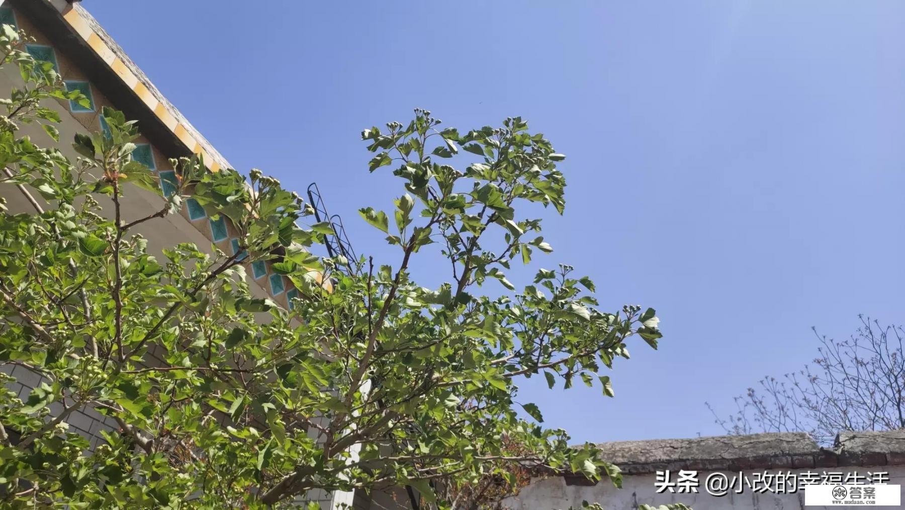 如何给女的洗头？