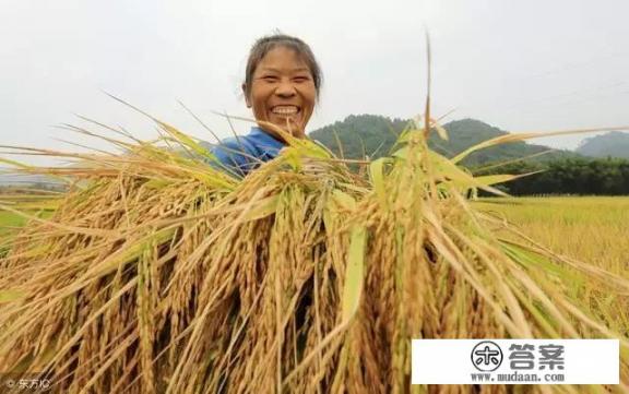 初四女生学习怎么逆袭? 初四女生学习怎么逆袭?