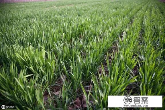 初四女生学习怎么逆袭? 初四女生学习怎么逆袭?