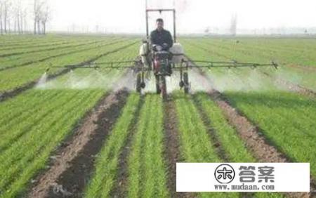 初四女生学习怎么逆袭? 初四女生学习怎么逆袭?