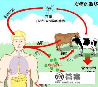 北京地铁能带药吗？