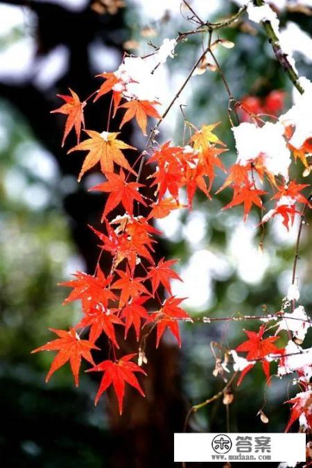 发几张你手机里这两天拍的一组雪天美景照片吧?看看你那里有多美? 发几张你手机里这两天拍的一组雪天美景照片吧?看看你那里有多美?