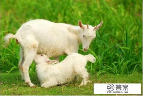 给老年人送礼品送什么比较好? 给老年人送礼品送什么比较好?