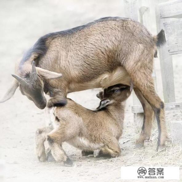 给老年人送礼品送什么比较好? 给老年人送礼品送什么比较好?