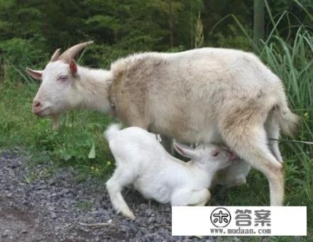 给老年人送礼品送什么比较好? 给老年人送礼品送什么比较好?