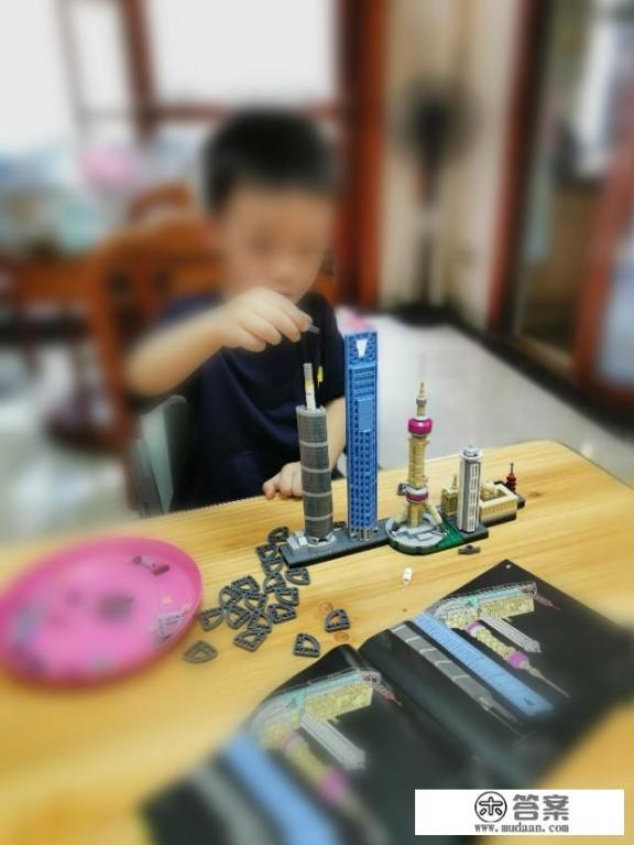 八岁小男孩沉迷拼乐高类积木，特别是两三千片的大作品，连续拼几个小时停不下来，应该怎样引导？