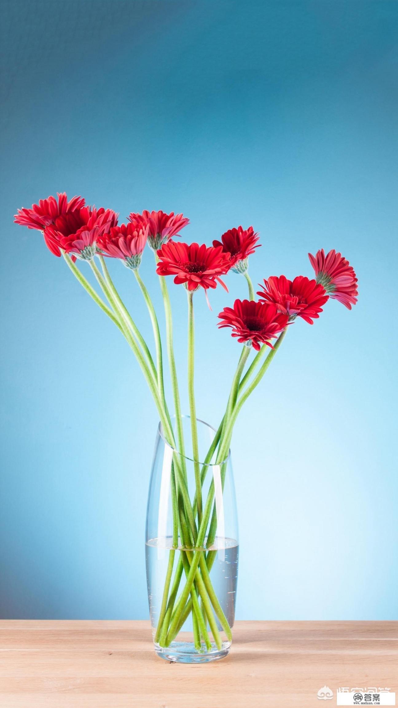 为什么小宝宝看到镜子里自己就会蹭过去？