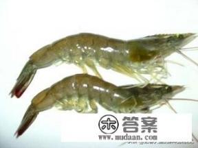 海鲜都有哪些？