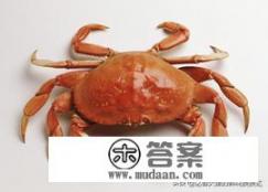 海鲜都有哪些？