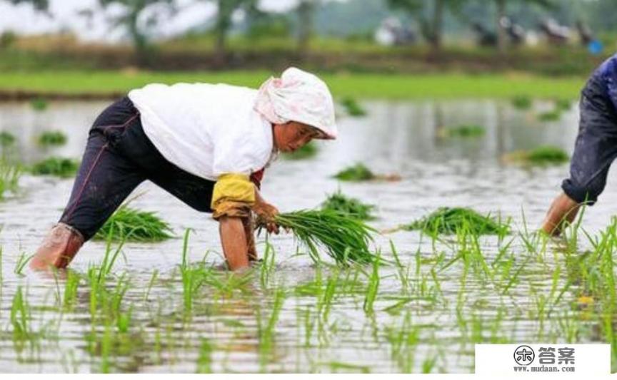 感觉国外疫情越来越严重，该如何面对生活开支拮据？