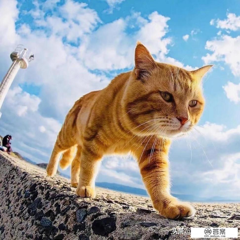 抖音上的感情咨询是真的吗? 抖音上的感情咨询是真的吗?