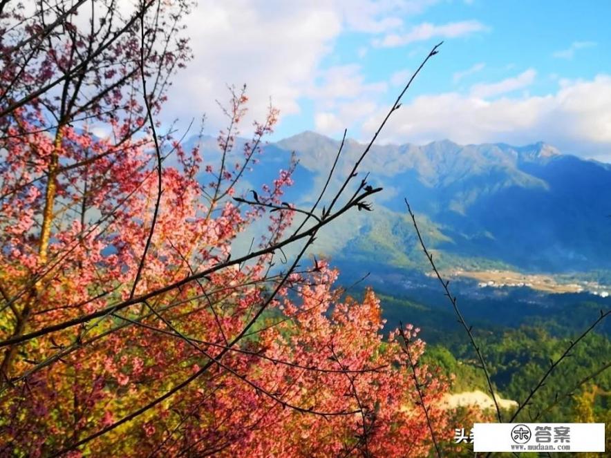 腾冲本地人去哪泡温泉？