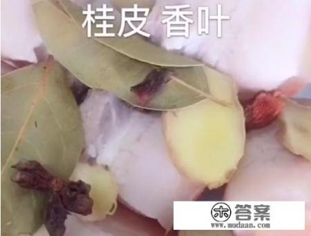 上海红烧肉的做法图解？