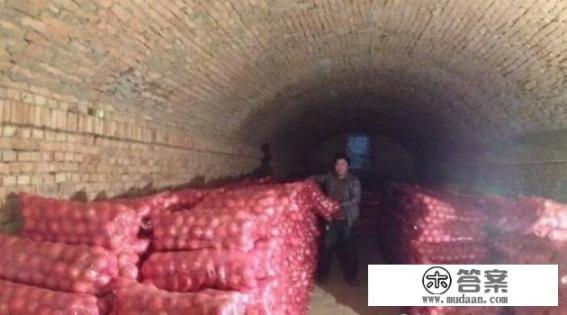 临近元旦,市场上的苹果价格以及走势如何? 临近元旦,市场上的苹果价格以及走势如何?