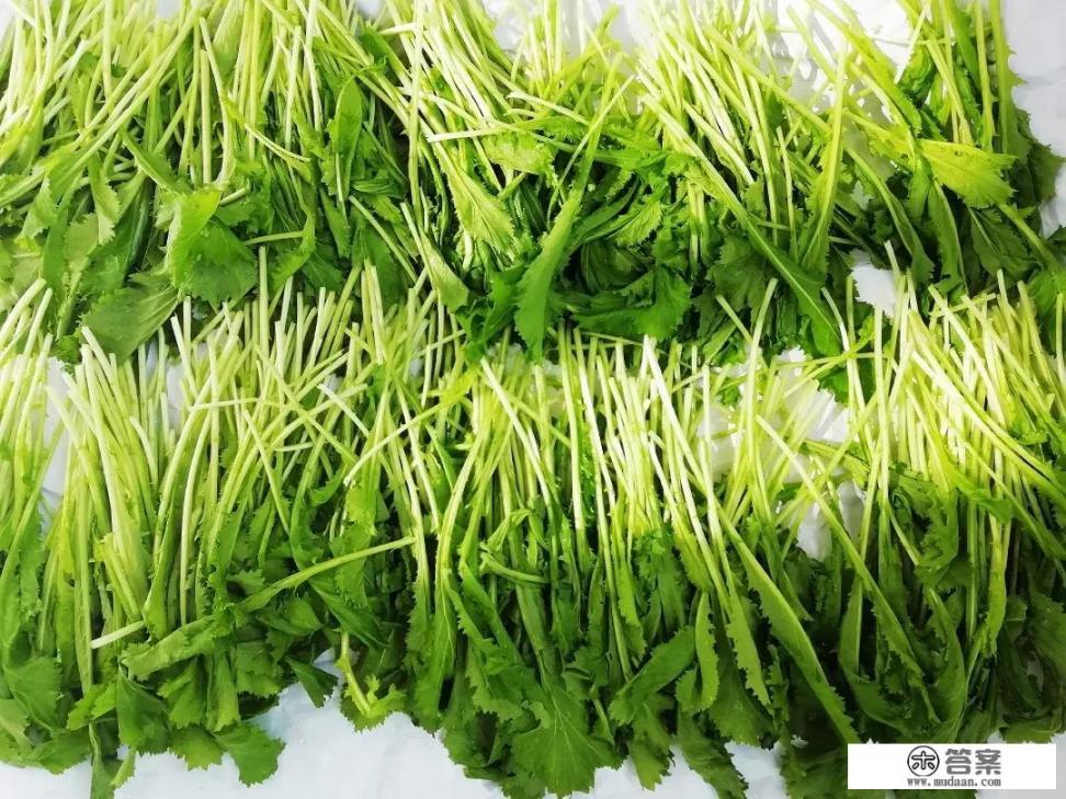 雪里红的腌制方法？