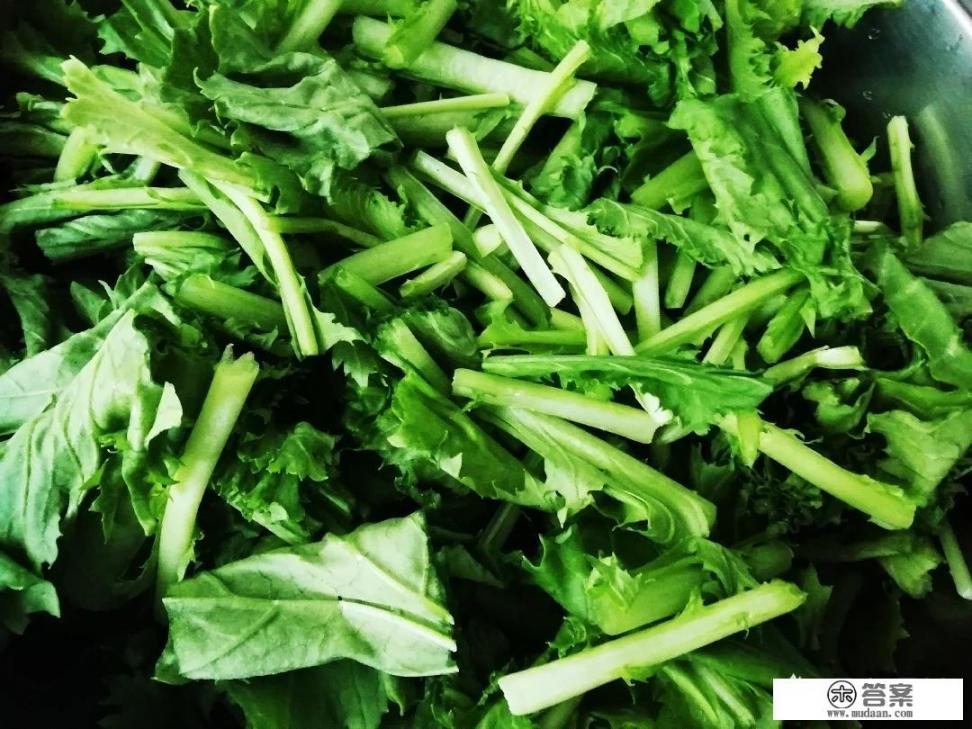 雪里红的腌制方法？