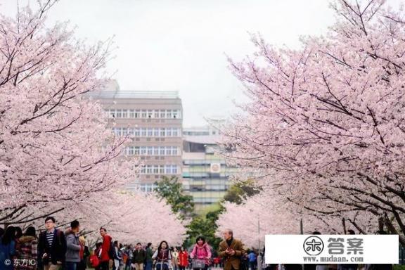 同济大学的全称是什么？