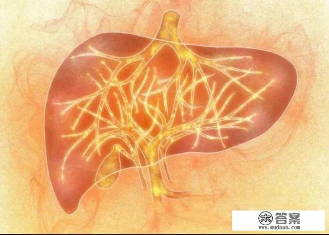 适合长期喝的养肝茶有哪些？