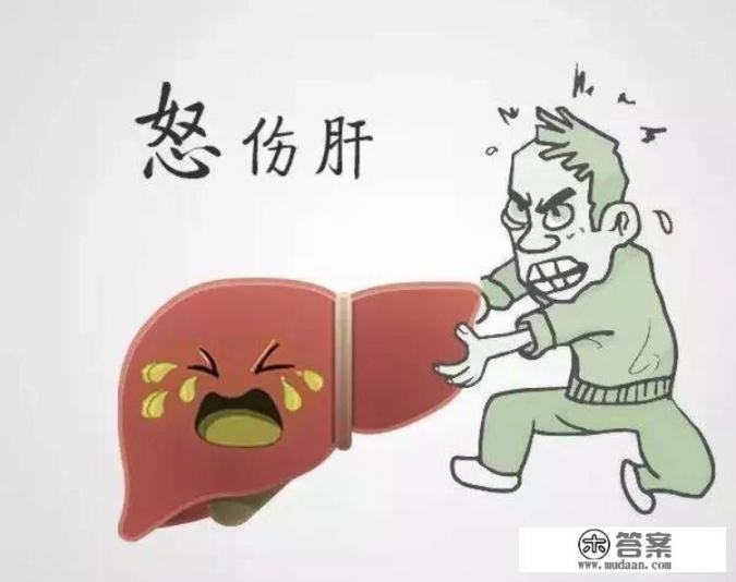 适合长期喝的养肝茶有哪些？