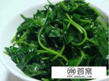 请问各位高人杨树和松树能不能栽种在一起? 请问各位高人杨树和松树能不能栽种在一起?