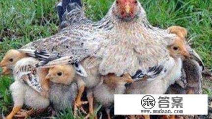 东汉皇帝的大厅叫什么? 东汉皇帝的大厅叫什么?