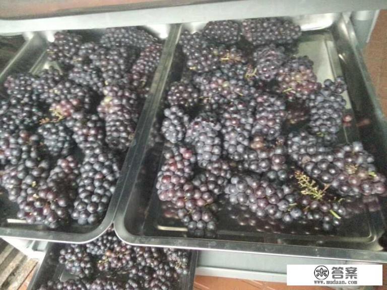 自制葡萄酒的正确做法? 自制葡萄酒的正确做法?