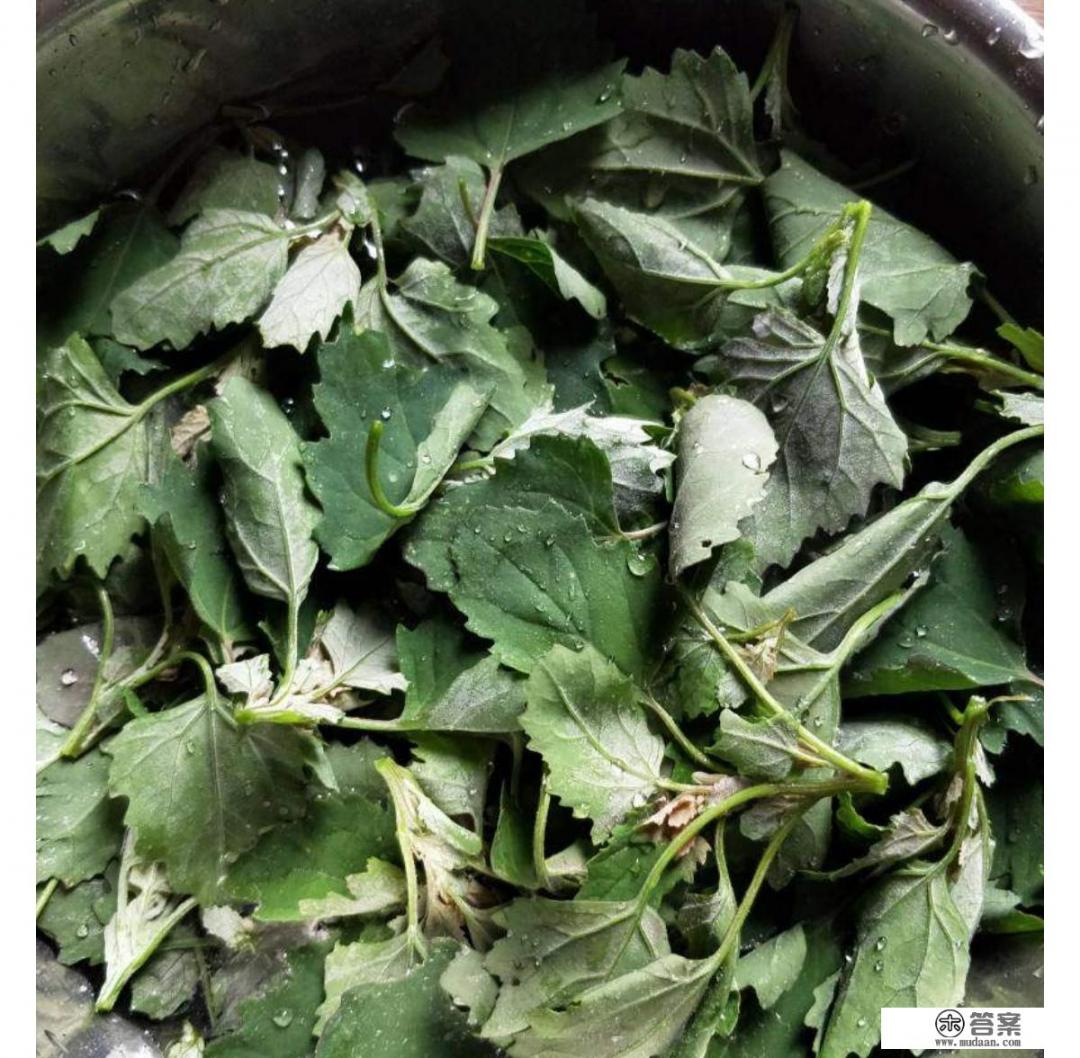 灰菜怎么做好吃? 灰菜怎么做好吃?