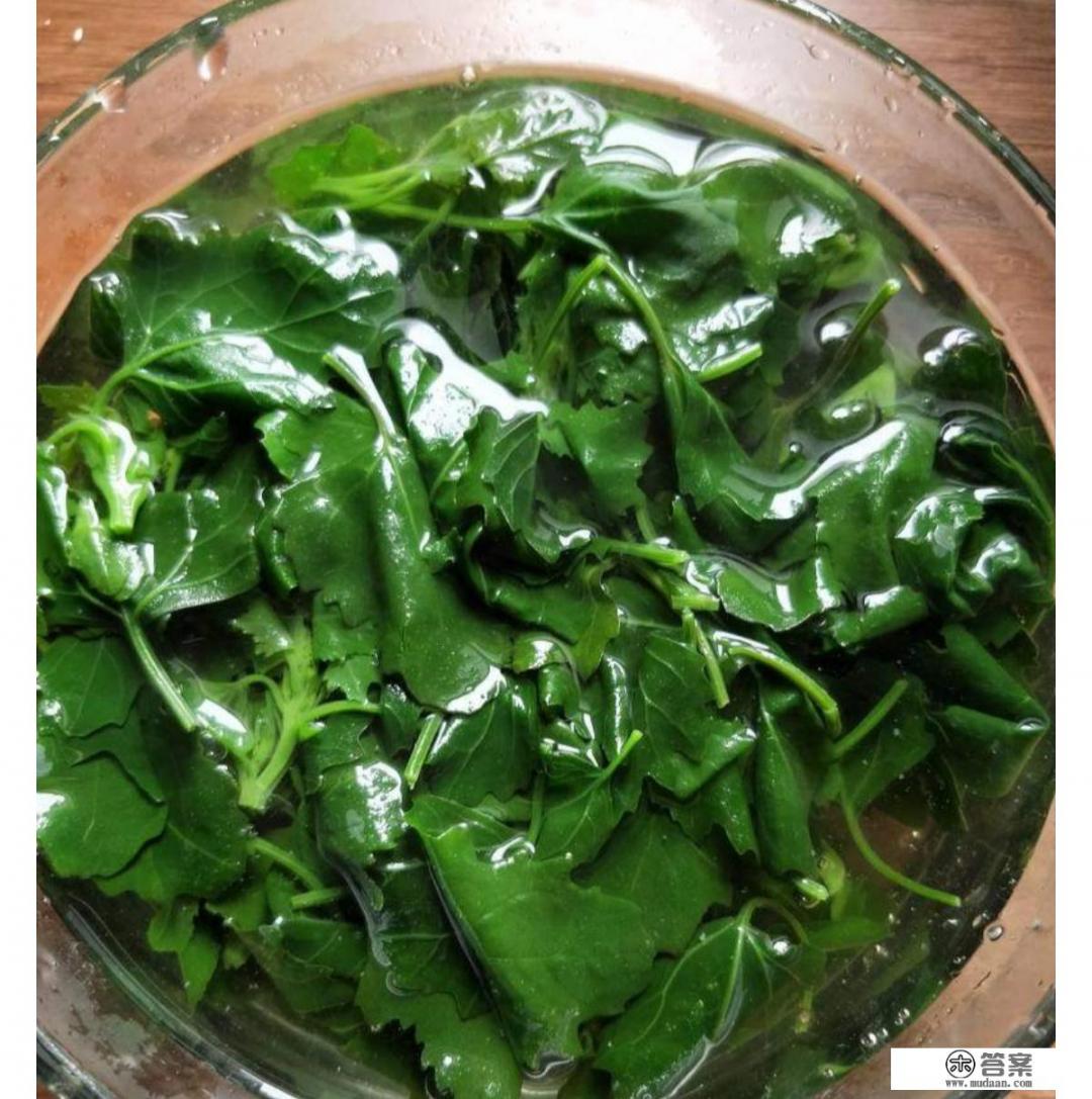 灰菜怎么做好吃? 灰菜怎么做好吃?