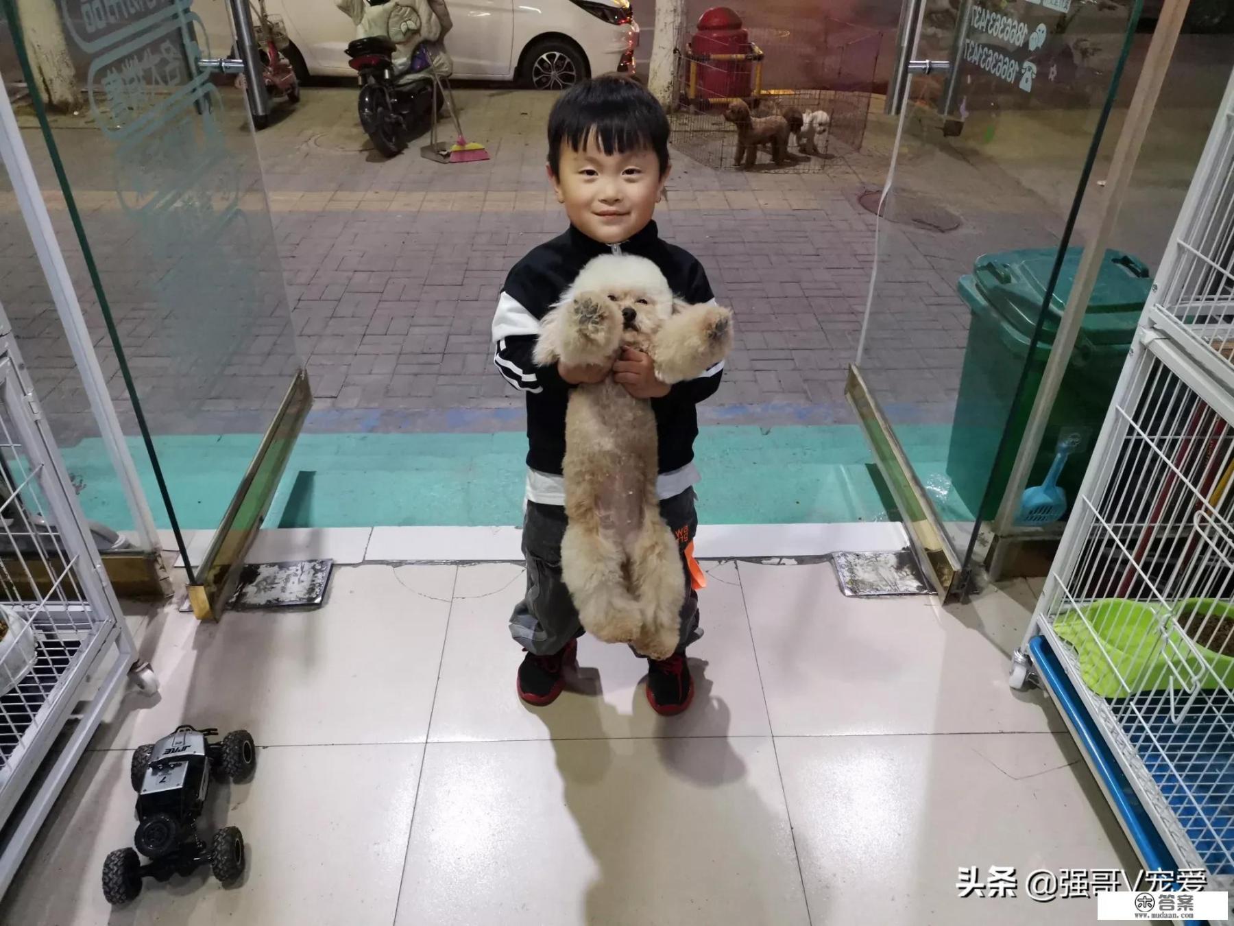 华为手机用安狗狗应用管家隔离的应用找不到了？