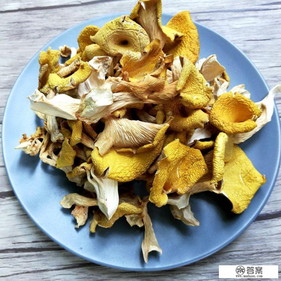 广西野生蘑菇种类? 广西野生蘑菇种类?